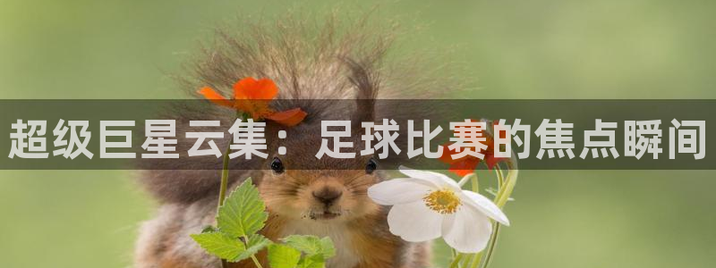 超级巨星云集：足球比赛的焦点瞬间