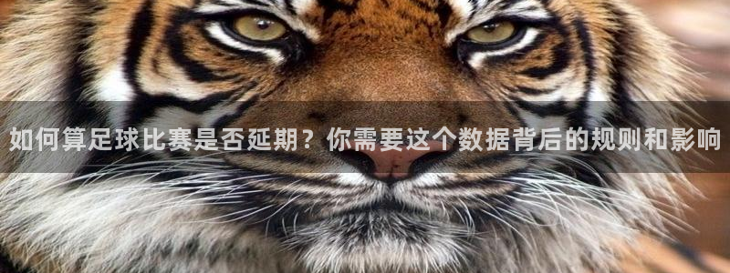 如何算足球比赛是否延期？你需要这个数据背后的规则和影响