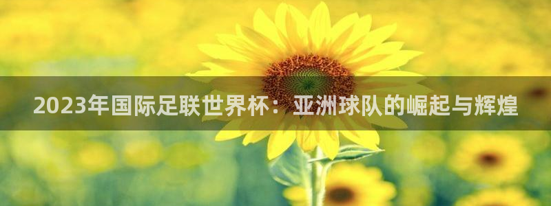 2023年国际足联世界杯：亚洲球队的崛起与辉煌