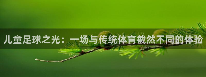 儿童足球之光：一场与传统体育截然不同的体验