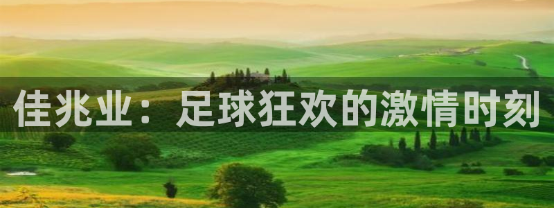  佳兆业：足球狂欢的激情时刻