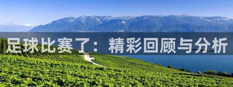  足球比赛了：精彩回顾与分析
