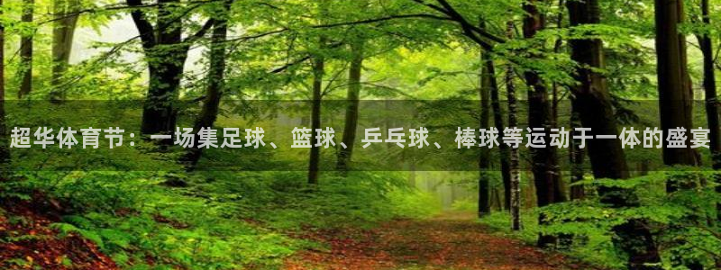 超华体育节：一场集足球、篮球、乒乓球、棒球等运动于一体的盛宴