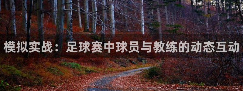 模拟实战：足球赛中球员与教练的动态互动