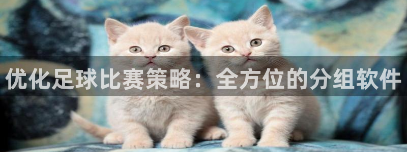 优化足球比赛策略：全方位的分组软件