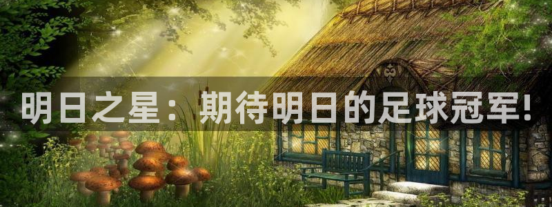 明日之星：期待明日的足球冠军!