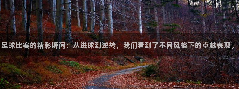  足球比赛的精彩瞬间：从进球到逆转，我们看到了不同风格下的卓越