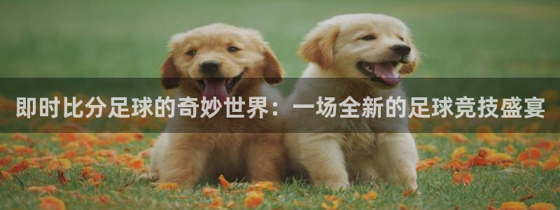  即时比分足球的奇妙世界：一场全新的足球竞技盛宴