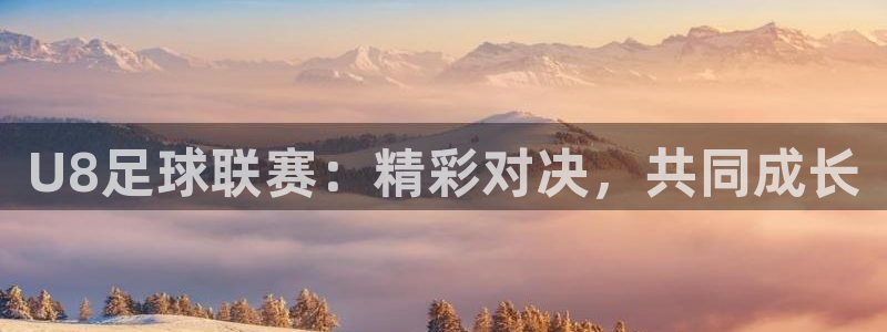  U8足球联赛：精彩对决，共同成长