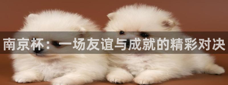  南京杯：一场友谊与成就的精彩对决
