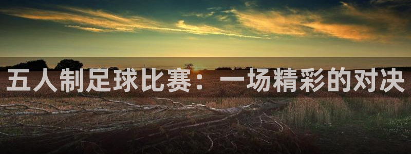 五人制足球比赛：一场精彩的对决