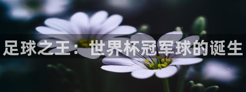  足球之王：世界杯冠军球的诞生