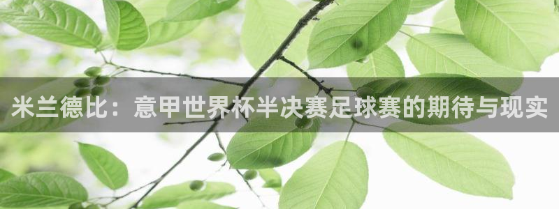  米兰德比：意甲世界杯半决赛足球赛的期待与现实