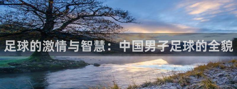  足球的激情与智慧：中国男子足球的全貌