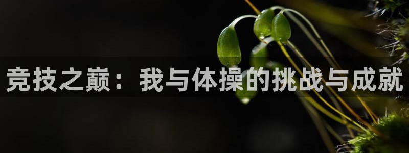 ug环球官网登录入口：竞技之巅：我与体操的挑战与成就
