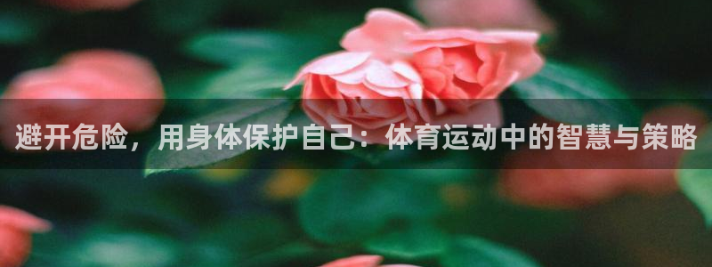 ug环球官网登录入口：避开危险，用身体保护自己：体育运动中的智慧与策略