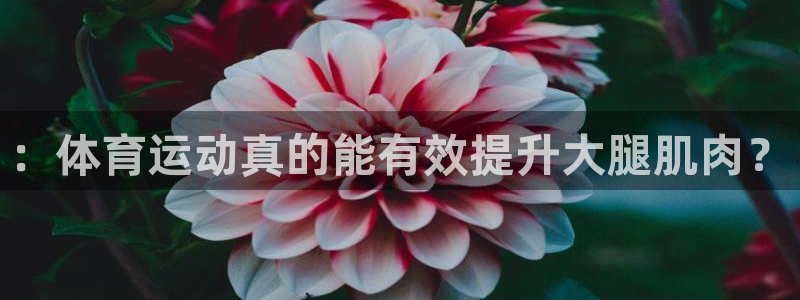 ug环球官网：：体育运动真的能有效提升大腿肌肉？