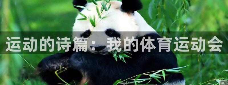 菲律宾ug环球官网：运动的诗篇：我的体育运动会