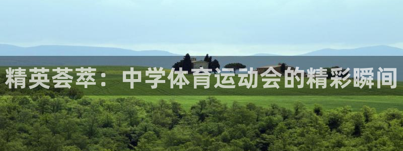 菲律宾ug环球官网：精英荟萃：中学体育运动会的精彩瞬间
