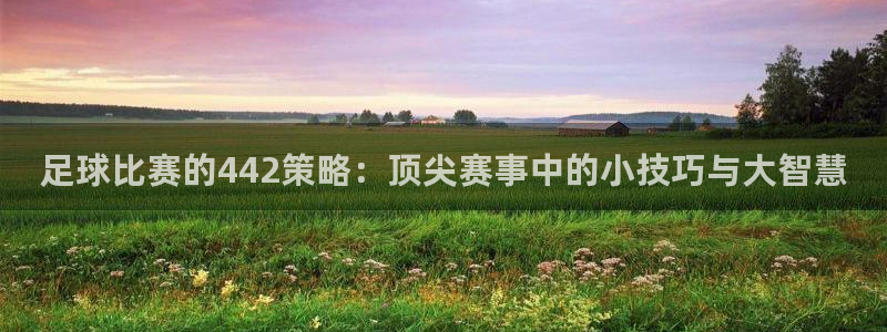 足球比赛的442策略：顶尖赛事中的小