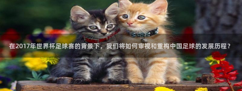 在2017年世界杯足球赛的背景下，我