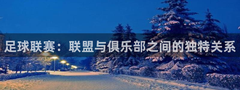 足球联赛：联盟与俱乐部之间的独特关系