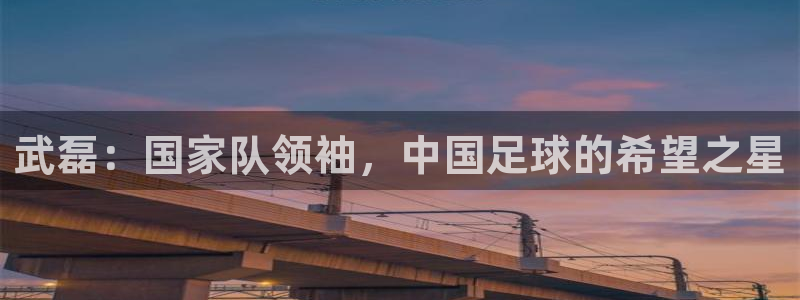 武磊：国家队领袖，中国足球的希望之星