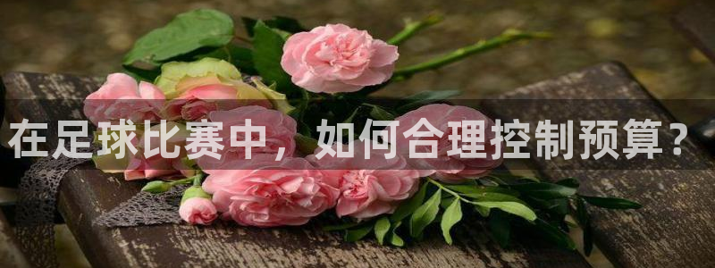 在足球比赛中，如何合理控制预算？