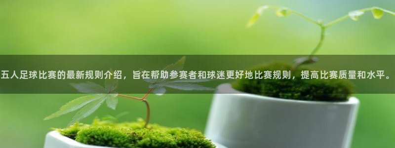 五人足球比赛的最新规则介绍，旨在帮助