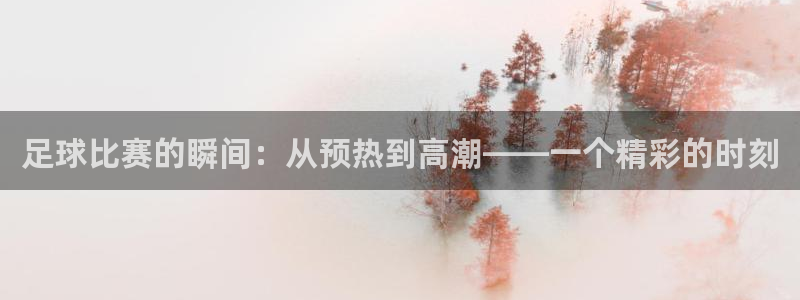足球比赛的瞬间：从预热到高潮——一个