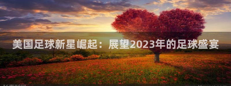 美国足球新星崛起：展望2023年的足