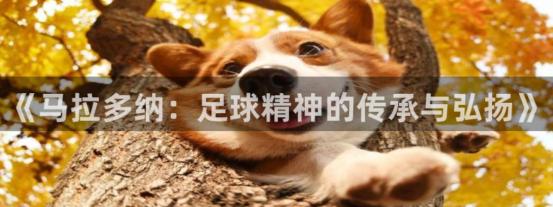 《马拉多纳：足球精神的传承与弘扬》