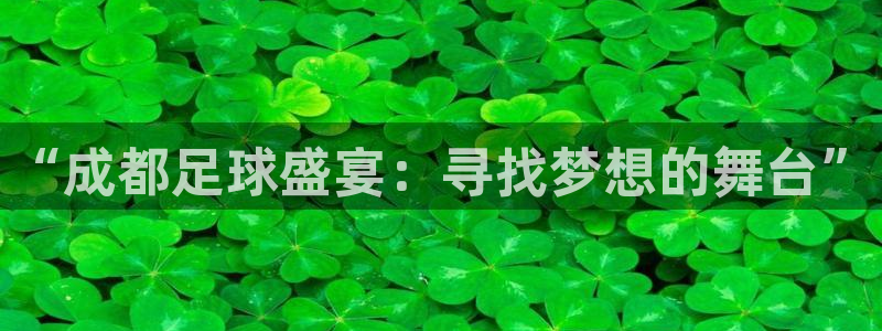 “成都足球盛宴：寻找梦想的舞台”