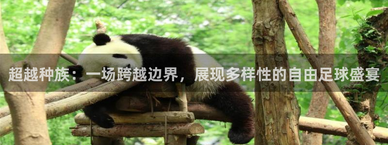 超越种族：一场跨越边界，展现多样性的