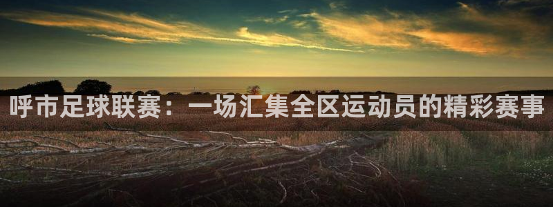 呼市足球联赛：一场汇集全区运动员的精